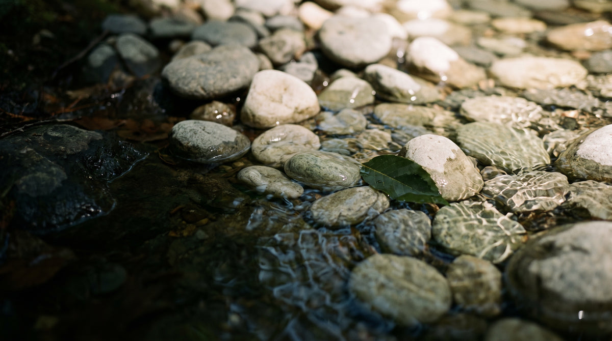 Agua clara sobre piedras de rio